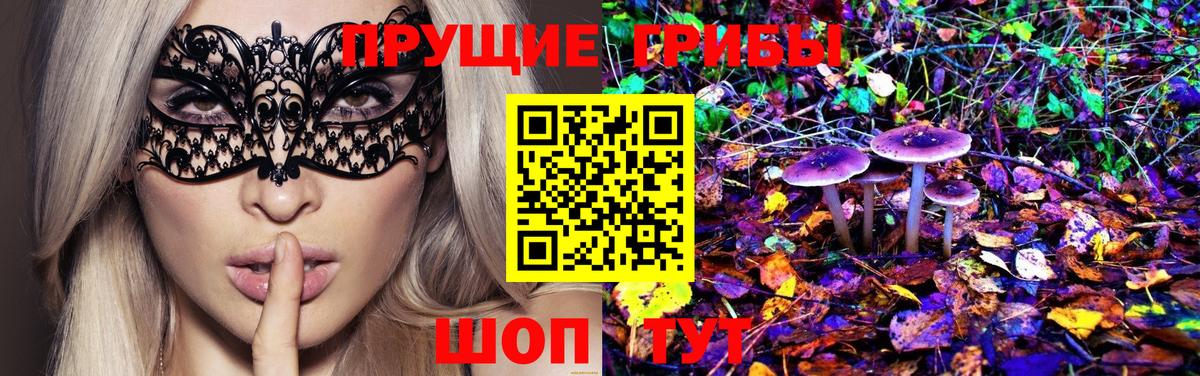 Псилоцибиновые грибы GOLDEN TEACHER  Вход с VPN  Саранск 